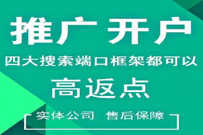 行业领先企业的SEM竞价代运营成功案例揭秘